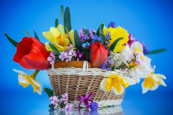 Bellissimo bouquet di fiori primaverili, — Foto Stock