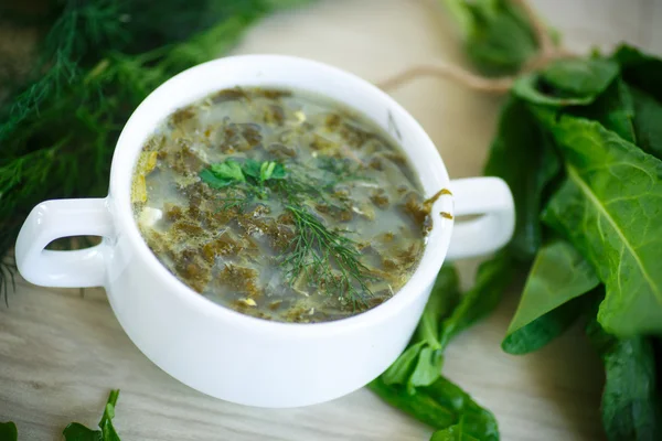 Sopa de acedera — Foto de Stock