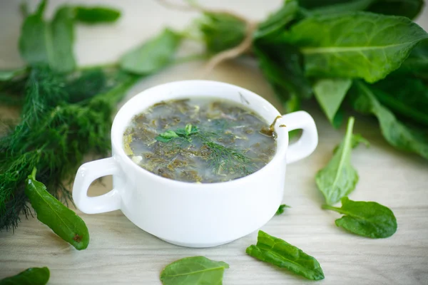 Sorrel soup — Stock Photo, Image