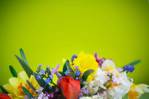 Piękny bukiet wiosennych kwiatów, Zdjęcie Stockowe