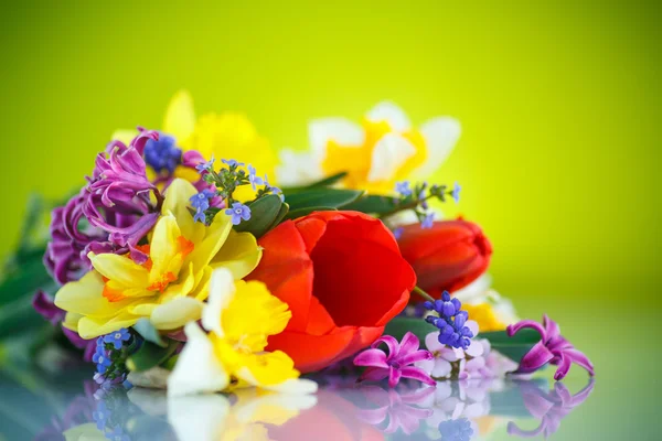 Schöner Strauß Frühlingsblumen, — Stockfoto