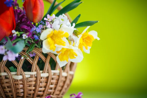 Schöner Strauß Frühlingsblumen, — Stockfoto