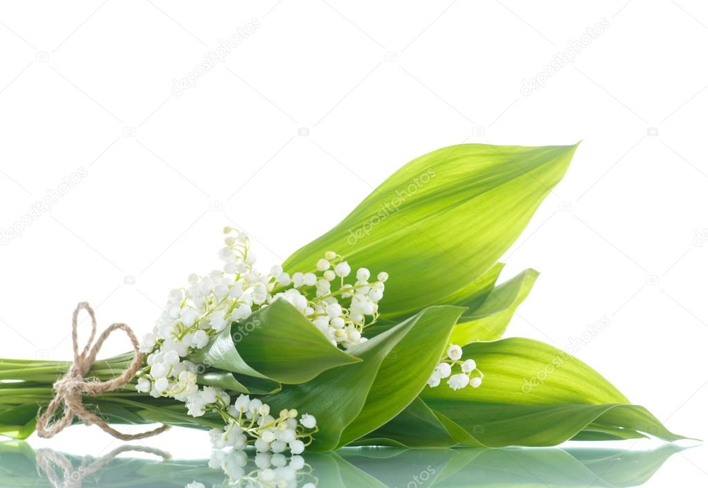 lilies of the valley