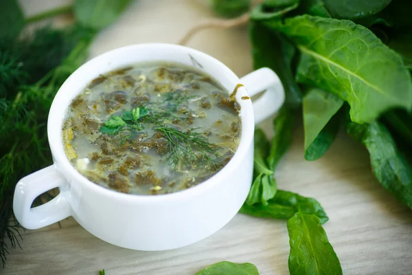 Sopa de acedera —  Fotos de Stock