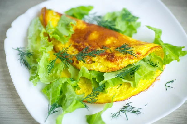 Roasted omelet — Stock Photo, Image