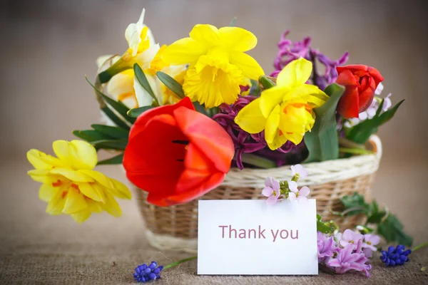 Schöner Strauß Frühlingsblumen, — Stockfoto