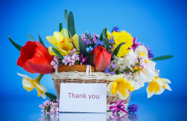 Beautiful bouquet of spring flowers, — Stock Photo, Image