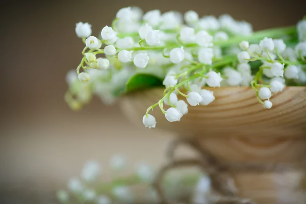 山谷的百合花 — 图库照片