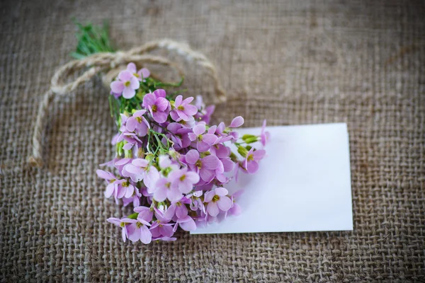 Boeket van de lente bloemen — Stockfoto