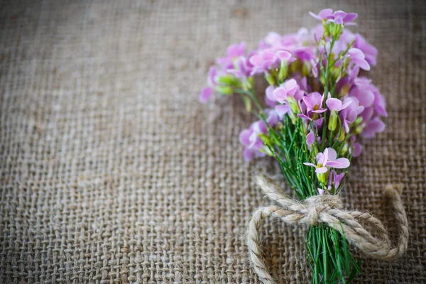 Boeket van de lente bloemen — Stockfoto