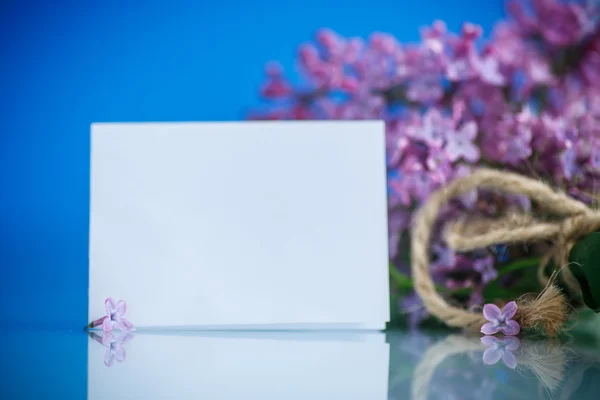 Blooming lilac — Stock Photo, Image