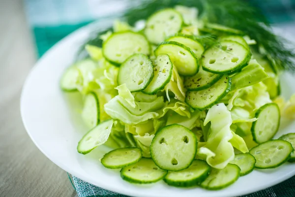 Salada de primavera com repolho e pepinos — Fotografia de Stock