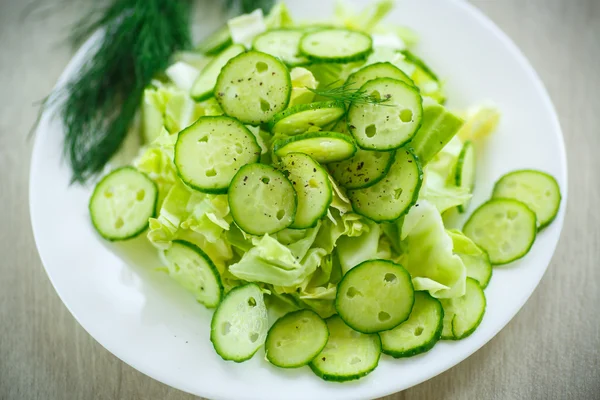 Ensalada de primavera con col y pepinos — Foto de Stock