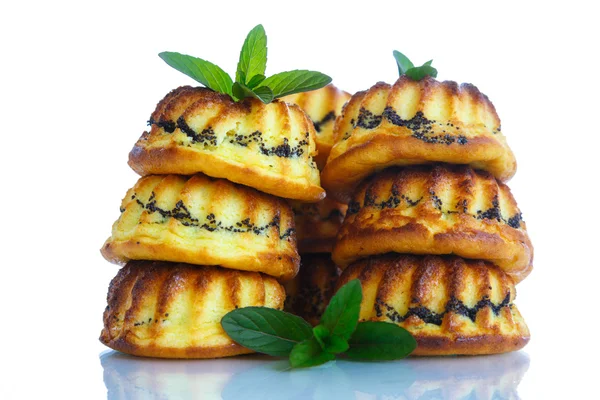 Poppy doldurma peynirli kek — Stok fotoğraf