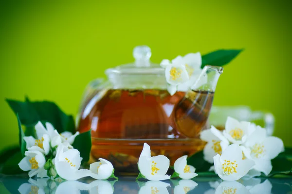 Jasmine tea — Stock Photo, Image