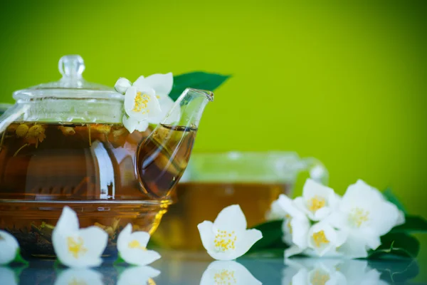 Jasmine tea — Stock Photo, Image