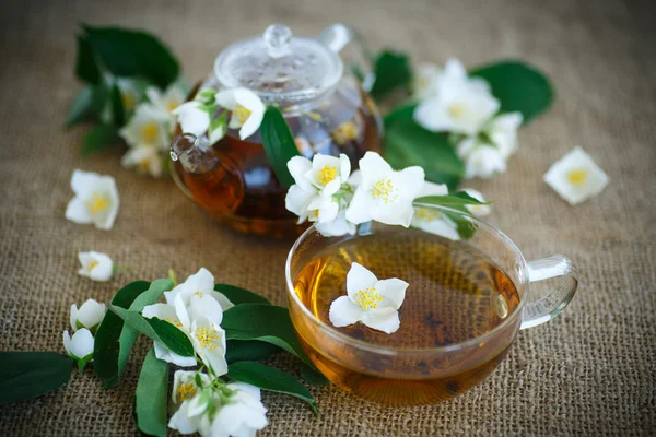 Jasmine tea — Stock Photo, Image