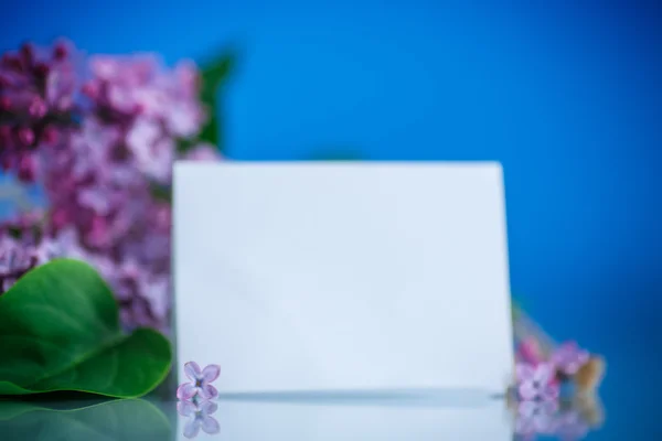 Blooming lilac — Stock Photo, Image