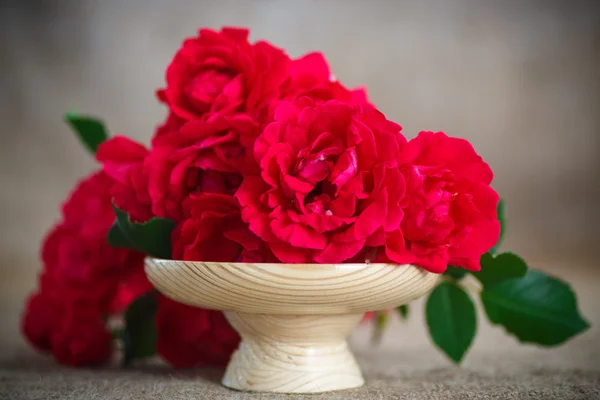 Mooi boeket van rode rozen — Stockfoto