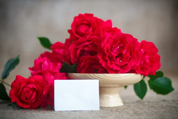 Mooi boeket van rode rozen — Stockfoto