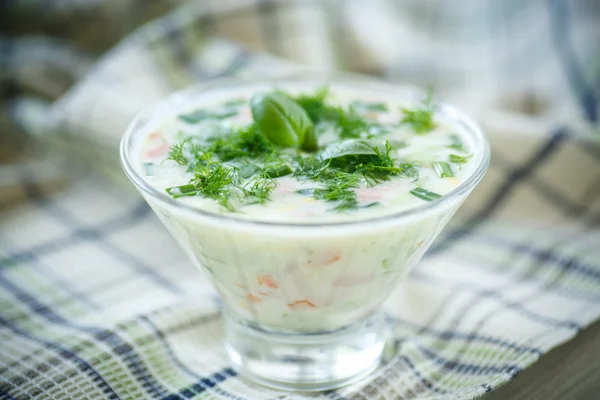 Sopa de pepino —  Fotos de Stock