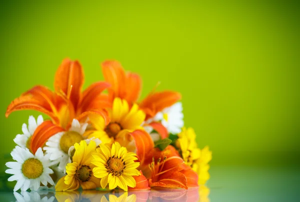 Bouquet di margherite gialle e bianche — Foto Stock