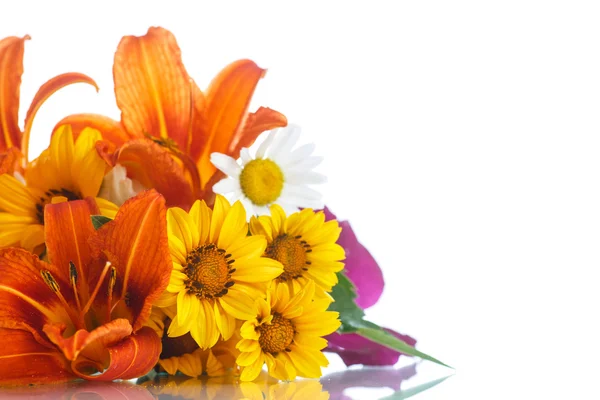 Bouquet of yellow and white daisies — Stock Photo, Image