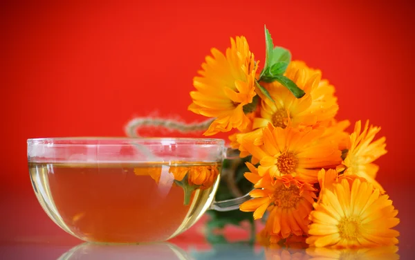 A körömvirág virág gyógynövény tea — Stock Fotó