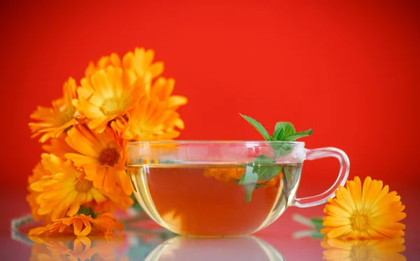 Chá de ervas com flores de calêndula — Fotografia de Stock