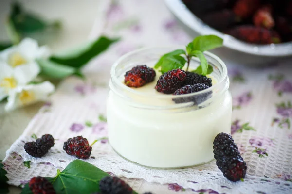 Yogurt with mulberry — Stock Photo, Image