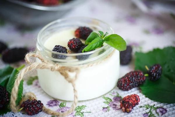 Yogurt con morera —  Fotos de Stock