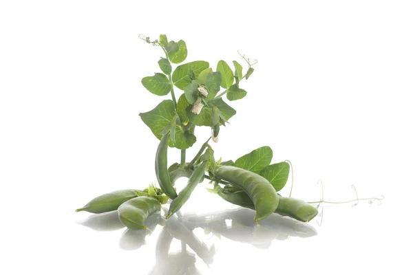 Groene erwten — Stockfoto