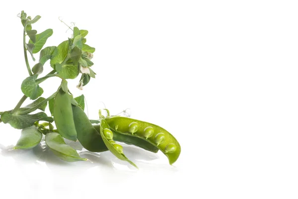 Green peas — Stock Photo, Image