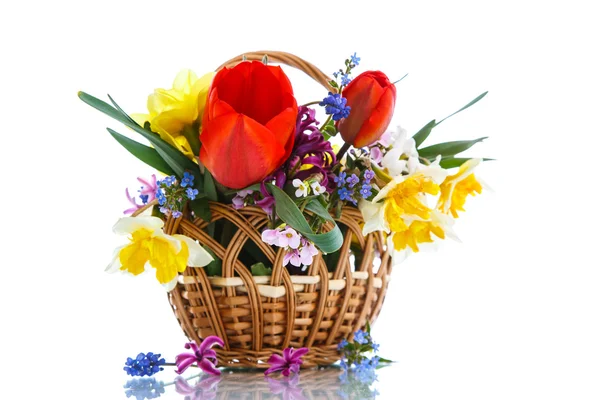 Beautiful bouquet of spring flowers — Stock Photo, Image