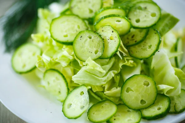 Весняний салат з капустою та огірками — стокове фото