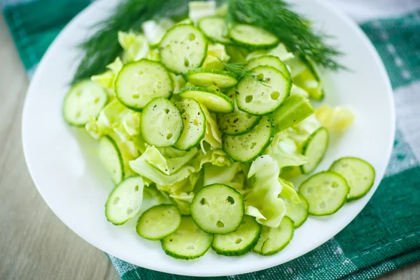 Frühlingssalat mit Kohl und Gurken — Stockfoto