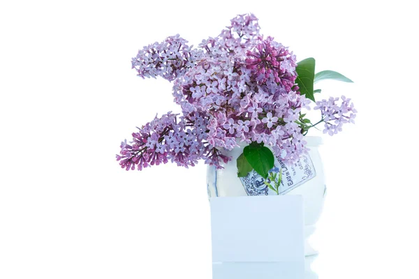 Belles fleurs en fleurs lilas — Photo