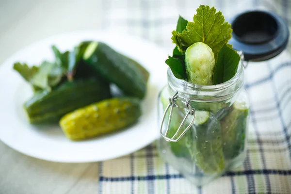 Gesalzene Gurken — Stockfoto