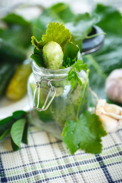 Salted cucumber — Stock Photo, Image