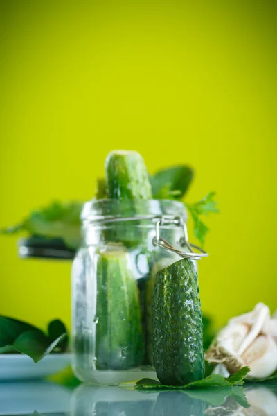 Pepino salado — Foto de Stock