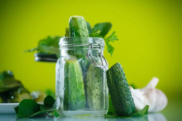 Gezouten komkommer — Stockfoto