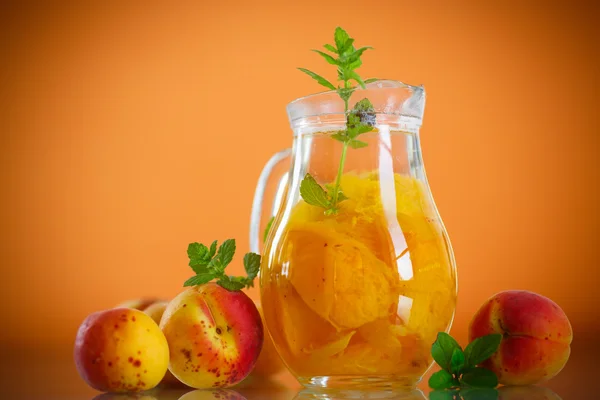 Apricot compote — Stock Photo, Image