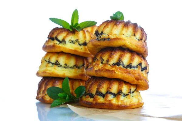 Poppy doldurma peynirli kek — Stok fotoğraf