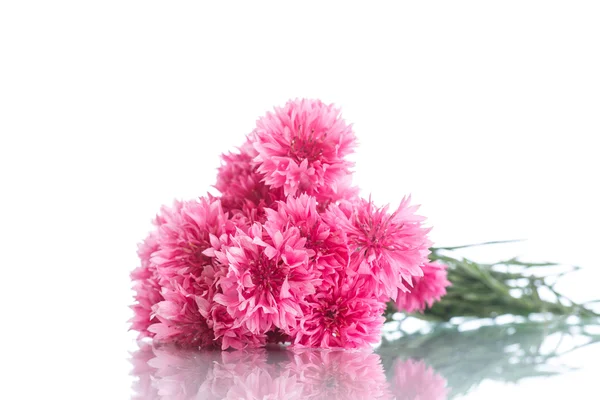 Bright bouquet of carnations — Stock Photo, Image