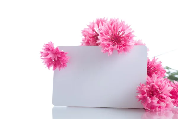 Bright bouquet of carnations — Stock Photo, Image