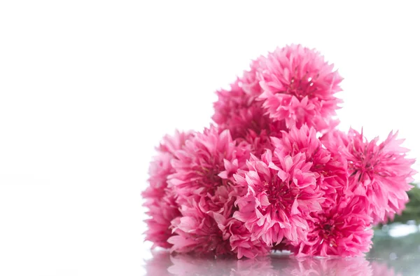 Bright bouquet of carnations — Stock Photo, Image