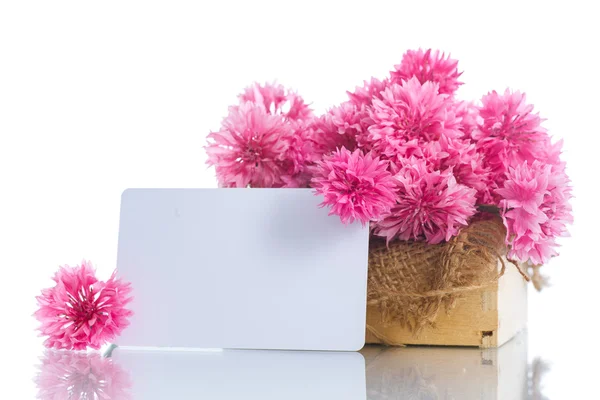 Bright bouquet of carnations — Stock Photo, Image