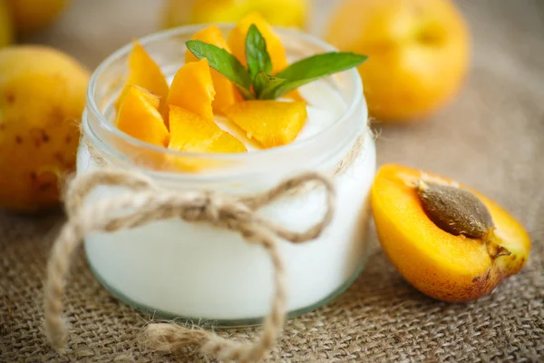 Yogurt with fresh apricots — Stock Photo, Image