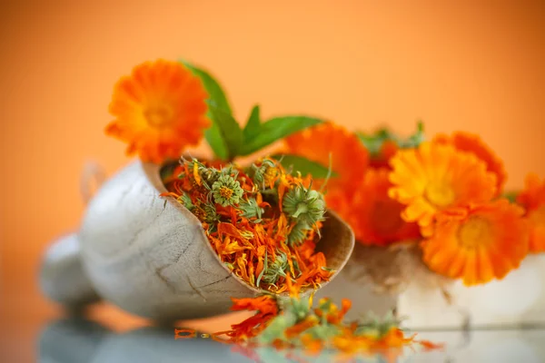 Dried calendula — Stock Photo, Image