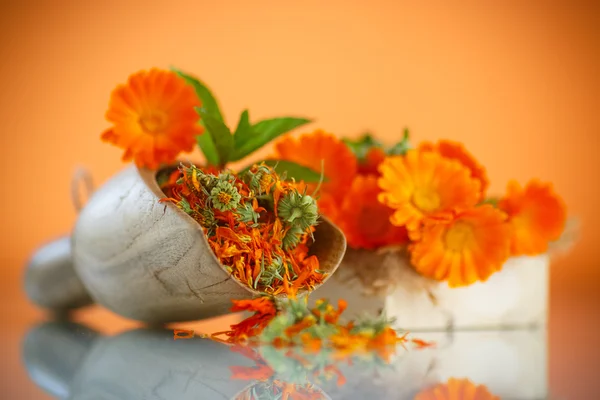 Dried calendula — Stock Photo, Image